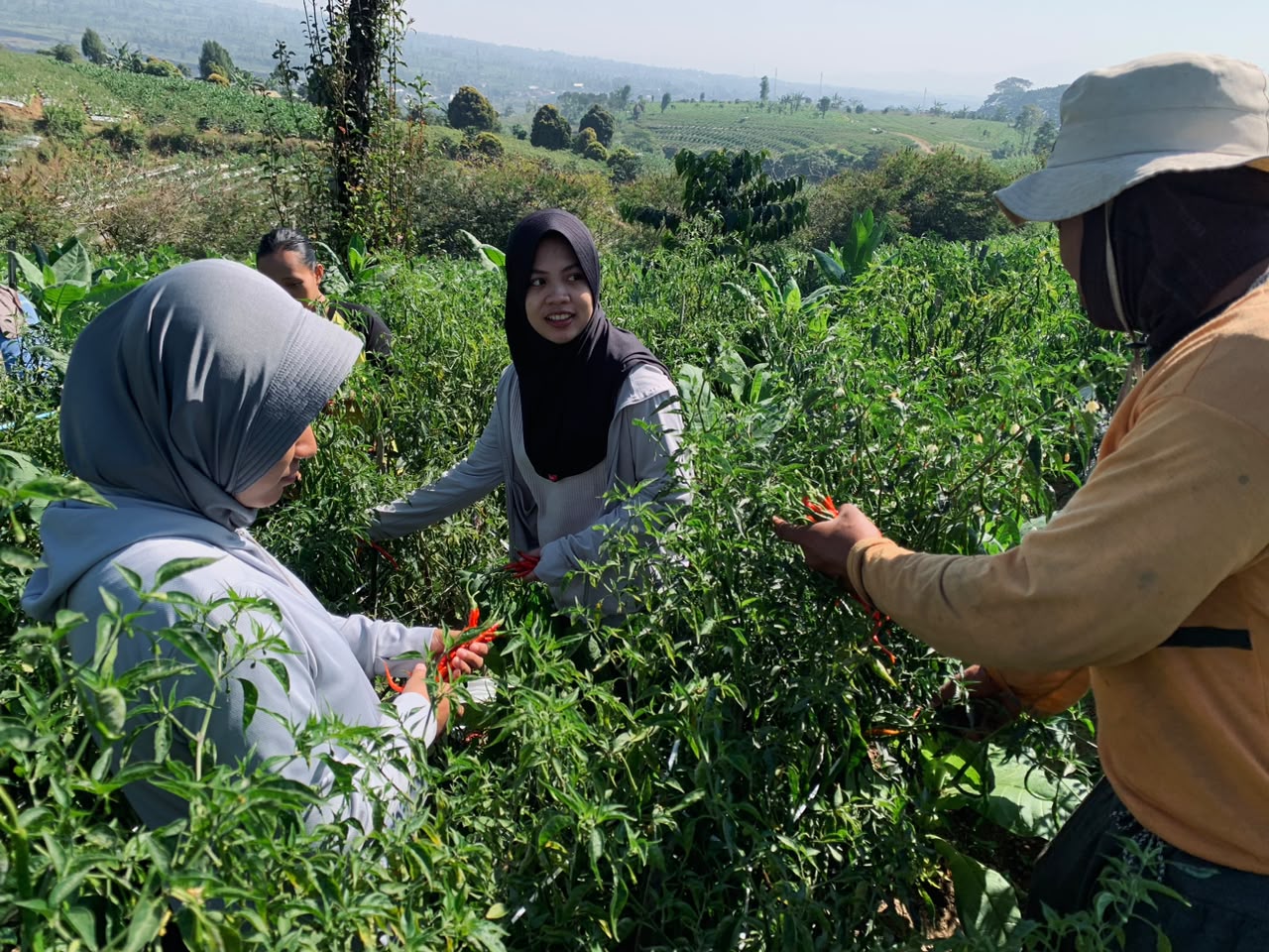 Gambar Berita